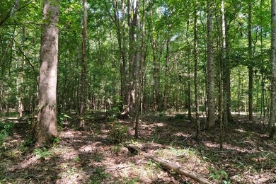 OXFORD MS LAND!! APPROX 320 ACRES IN LAFAYETTE COUNTY WITH - photo 12