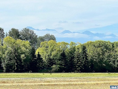 Fly for business or pleasure! This beautiful property with - photo 13