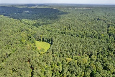 OXFORD MS LAND!! APPROX 320 ACRES IN LAFAYETTE COUNTY WITH - photo 14