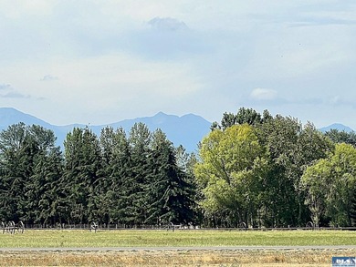 Fly for business or pleasure! This beautiful property with - photo 14
