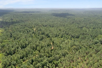 OXFORD MS LAND!! APPROX 320 ACRES IN LAFAYETTE COUNTY WITH - photo 15
