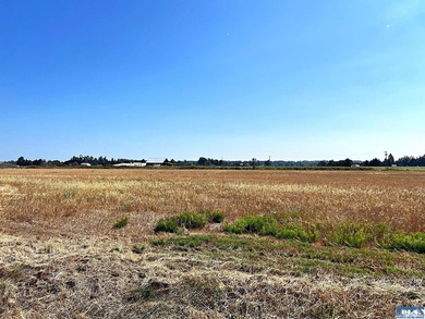 Fly for business or pleasure! This beautiful property with - photo 15