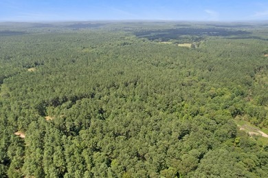 OXFORD MS LAND!! APPROX 320 ACRES IN LAFAYETTE COUNTY WITH - photo 16