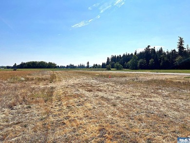 Fly for business or pleasure! This beautiful property with - photo 16