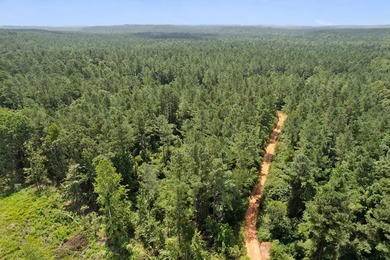 OXFORD MS LAND!! APPROX 320 ACRES IN LAFAYETTE COUNTY WITH - photo 17