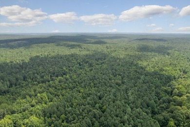 OXFORD MS LAND!! APPROX 320 ACRES IN LAFAYETTE COUNTY WITH - photo 18