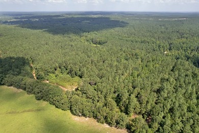 OXFORD MS LAND!! APPROX 320 ACRES IN LAFAYETTE COUNTY WITH - photo 19