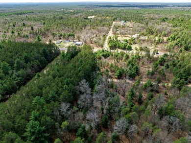 Build Your Dream Home or Getaway Near Castle Rock Lake! Discover - photo 19