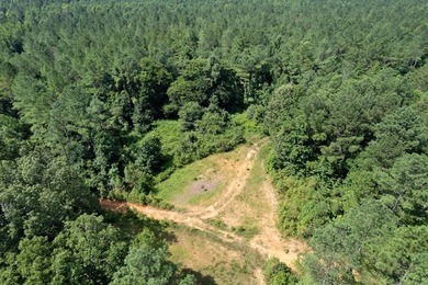 OXFORD MS LAND!! APPROX 320 ACRES IN LAFAYETTE COUNTY WITH - photo 20