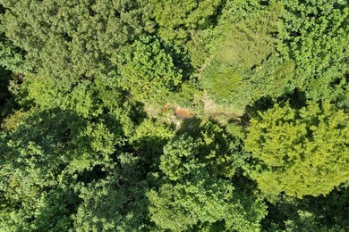 OXFORD MS LAND!! APPROX 320 ACRES IN LAFAYETTE COUNTY WITH - photo 21