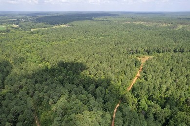 OXFORD MS LAND!! APPROX 320 ACRES IN LAFAYETTE COUNTY WITH - photo 23