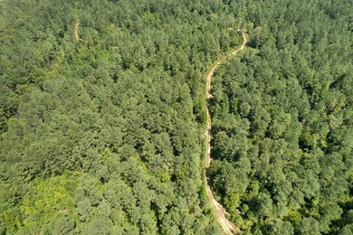 OXFORD MS LAND!! APPROX 320 ACRES IN LAFAYETTE COUNTY WITH - photo 24