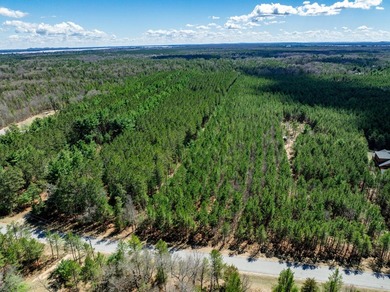Build Your Dream Home or Getaway Near Castle Rock Lake! Discover - photo 24