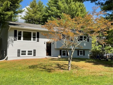Melody Lake Home For Sale in Monticello New York