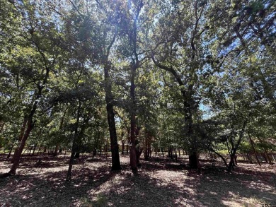 Holly Lake Ranch / Holly Lake Lot For Sale in Holly Lake Ranch Texas