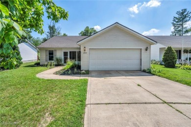 Lake Home ActiveUnderContr in Lagrange, Ohio