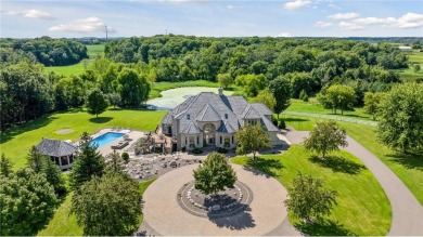 Lake Home For Sale in Greenfield, Minnesota