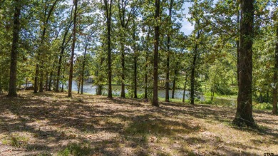 Lake Lot For Sale in Mount Pleasant, Texas