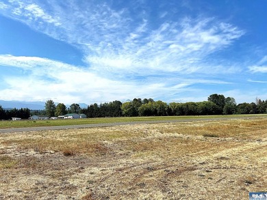 Fly for business or pleasure! This beautiful property with - photo 11