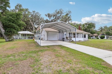 Located in the Tracy's Point area of Lake Panasoffkee, this 2 - photo 3
