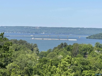 WATERFRONT AND 6.48+/- ACRES!! Dirt work completed including - photo 17