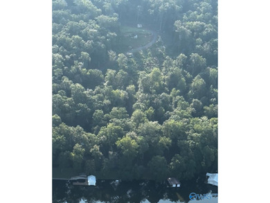 WATERFRONT AND 6.48+/- ACRES!! Dirt work completed including - photo 20