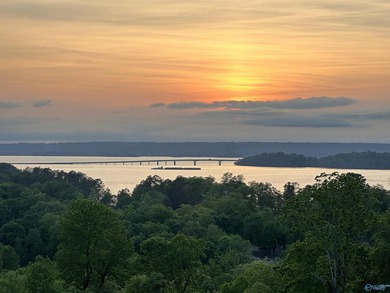 WATERFRONT AND 6.48+/- ACRES!! Dirt work completed including - photo 23