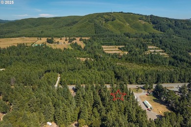 BANDON COMMERCIAL ACRE with 206 feet of Highway 101 frontage - photo 11