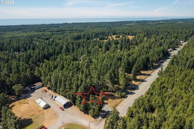 BANDON COMMERCIAL ACRE with 206 feet of Highway 101 frontage - photo 13