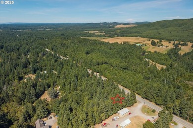 BANDON COMMERCIAL ACRE with 206 feet of Highway 101 frontage - photo 15