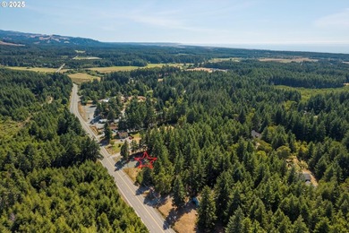 BANDON COMMERCIAL ACRE with 206 feet of Highway 101 frontage - photo 16