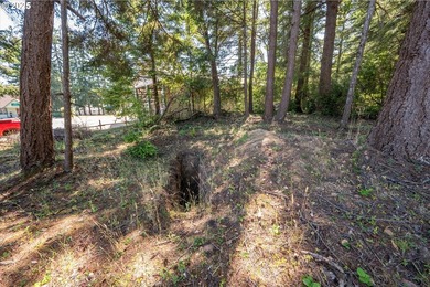 BANDON COMMERCIAL ACRE with 206 feet of Highway 101 frontage - photo 19