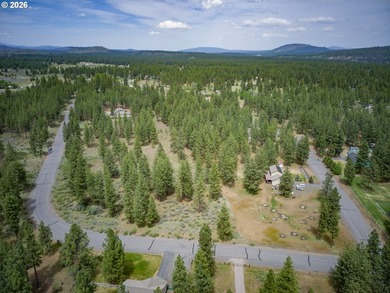 Discover the charm of this 2-acre corner lot in Klamath County - photo 3