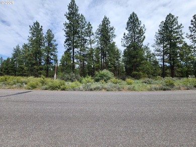 Discover the charm of this 2-acre corner lot in Klamath County - photo 4