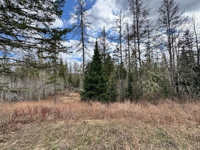 Large wooded parcel with frontage on North Perley Brook makes - photo 8