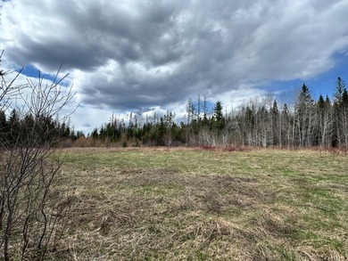 Large wooded parcel with frontage on North Perley Brook makes - photo 9