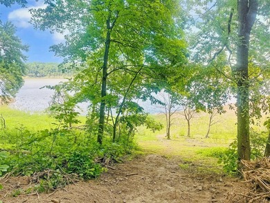 MAJOR PRICE DROP FOR SUMMER! Lake Home with Amazing Views & - photo 49