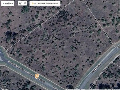 Lake Acreage For Sale in Graford, Texas