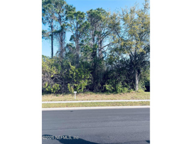 (private lake, pond, creek) Lot For Sale in Palm Coast Florida