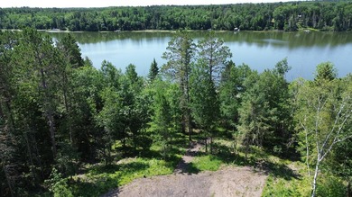 Escape to the peace and beauty of northern Minnesota with this - photo 4