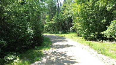 Escape to the peace and beauty of northern Minnesota with this - photo 10