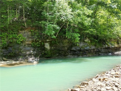 Lake Home For Sale in Ozone, Arkansas