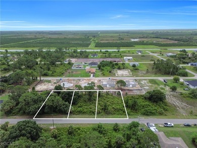 Lehigh Acres Area Lot For Sale in Lehigh Acres Florida