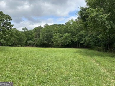 Lake Acreage For Sale in Cedartown, Georgia
