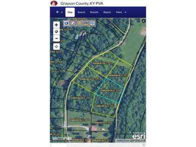 4.48+/- acres Across From Rough River Lake! - photo 13