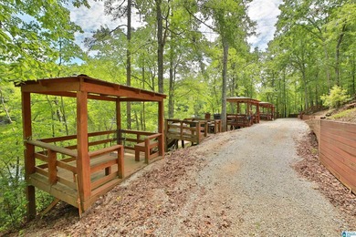 Rare find in Wedowee! This stunning, off water home has a deeded - photo 36