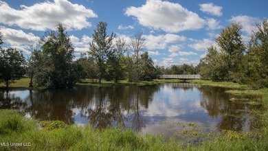 Welcome to Florence Gardens, one of Gulfport's most desirable - photo 48