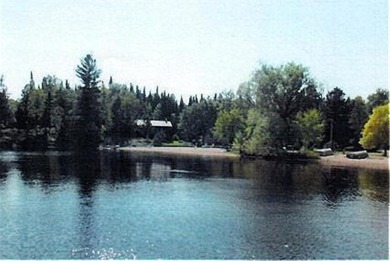 Lake Home For Sale in International Falls, Minnesota