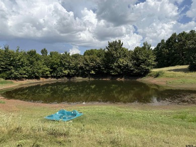 (private lake, pond, coastal) Acreage For Sale in Jacksonville Texas
