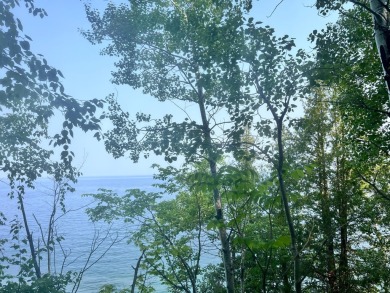 Lake Acreage For Sale in Ironwood, Michigan